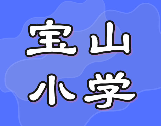 宝山小学分析