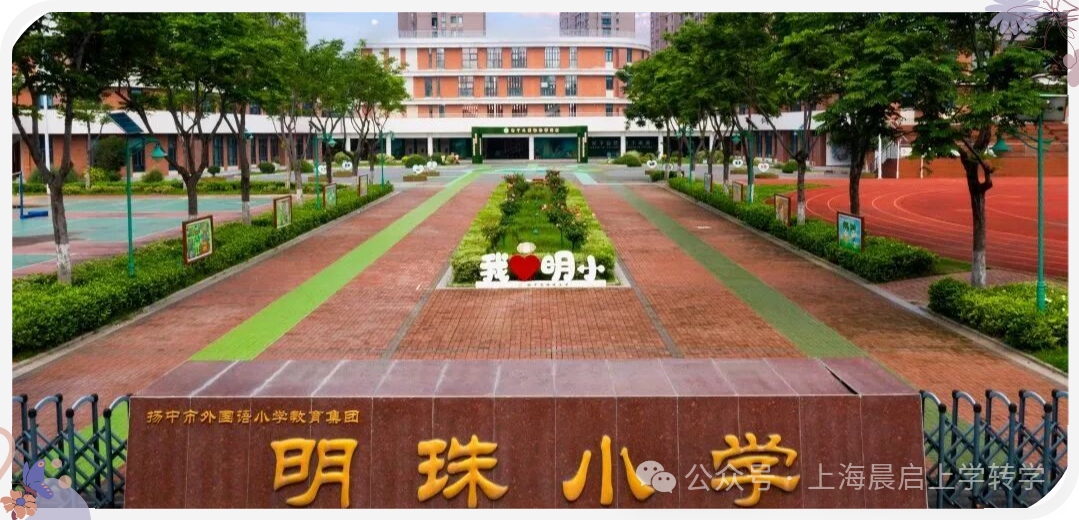 明珠小学的家长何去何从？强小普初的家庭如何小升初？