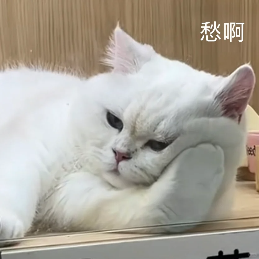 一模首战出分！杨浦均分惨烈，嘉定高分频出，看看你的定位在哪？