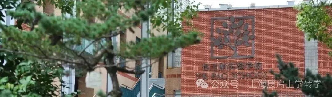 最近这局势，家长们都想把国外的孩子接回来