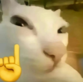 到底是谁在说浦东卷？