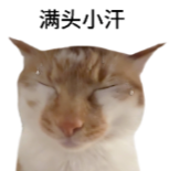 上海民办大胆摇！就算没中也有退路