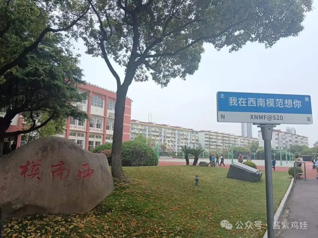 徐汇初中，讲点硬核有用的消息