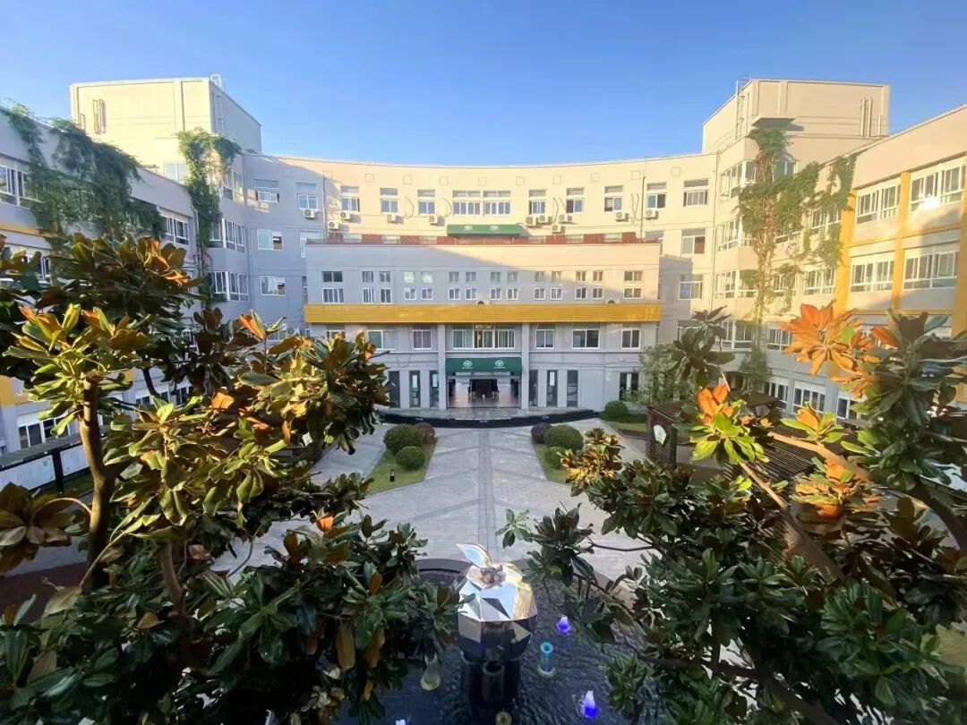 上海12区公办头部初中，看看是否刷新你的认知！