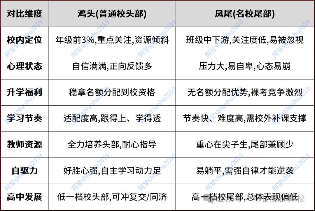 宁做鸡头不做凤尾？4张表看懂孩子最适合哪条路